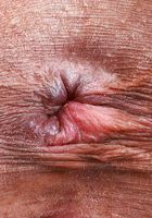 Salee Lee from ATK Petites