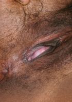 Hairy black babe Sammi teases with her hairy pussy, Sammi (sam032) ATK Exotics: Sammi (Hairy black babe Sammi teases with her hairy pussy)