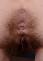 Hairy Sammy spreads her ass, Sammy Grand (sam040) ATK Archives: Sammy Grand (Hairy Sammy spreads her ass)