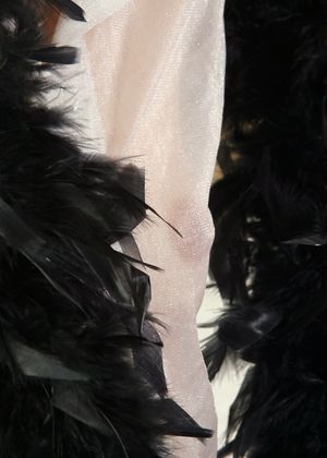 Sara from ATK Archives