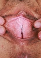 ATK Exotics: Satine Summers (Satine Summers is sunshine in yellow)