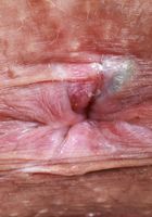 Satine Summers from ATK Petites