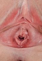 Scarlett Minx in upskirts and panties, Scarlett Minx (sca040) ATK Galleria: Scarlett Minx (Scarlett Minx in upskirts and panties)