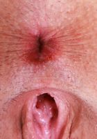 Selina Bentz Pussy Gaping, Selina Bentz (sel016) ATK Galleria: Selina Bentz (Selina Bentz Pussy Gaping)