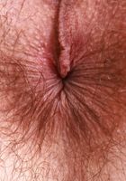 ATK Petites: Sia Wood (Sia Wood Dressed up for Stripping Down and Spreading)