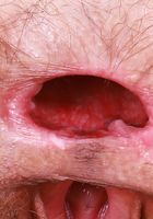 ATK Natural & Hairy: Sia Wood (Sia Wood is looking sleek and sexy)