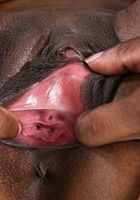 Sizi Sev in black women, Sizi Sev (siz001) ATK Exotics: Sizi Sev (Sizi Sev in black women)