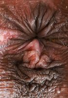 Sizi Sev Spreads her Pussy, Sizi Sev (siz001) ATK Exotics: Sizi Sev (Sizi Sev Spreads her Pussy)