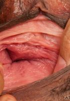 Hairy MILf Sofie shows off her furry bush, Sofie Taylor (sof023) ATK Exotics: Sofie Taylor (Hairy MILf Sofie shows off her furry bush)