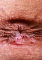 ATK Petites: Sona Bella (What could be better than Sona Bella in lingerie)