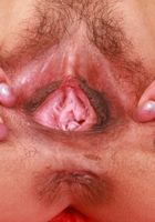 ATK Exotics: Sona Bella (Sona Bella in yellow and camo)