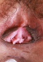 Sona shows her dark nipples and labia., Sona Bella (son031) ATK Exotics: Sona Bella (Sona shows her dark nipples and labia.)