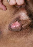 Starlingz from ATK Natural & Hairy