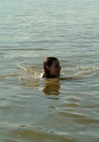 Stoney has fun on a beah and gets all wet in the water, Stoney (sto001) ATK Archives: Stoney (Stoney has fun on a beah and gets all wet in the water)