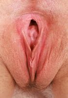 Sydney Paige Strips off Her Skirt, Sydney Paige (syd008) ATK Galleria: Sydney Paige (Sydney Paige Strips off Her Skirt)