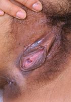 ATK Exotics: Tari (Tari brings a little spice and flavor!)