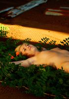 ATK Premium: Taylor (Taylor in artistic)