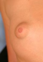 ATK Archives: Terenka (Terenka in)