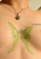 Fuzzball Tracy flashes her hairy pussy, Tracy (tra018) ATK Archives: Tracy (Fuzzball Tracy flashes her hairy pussy)