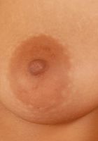 Vendula spreads herself, Vendula (ven012) ATK Exotics: Vendula (Vendula spreads herself)