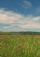 ATK Archives: Veronica (Veronica in nudism)