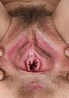 ATK Natural & Hairy: Rose Vermillion (Rose Vermillion in young and hairy)