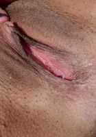 Vienna Black in latinas, Vienna Black (vie002) ATK Exotics: Vienna Black (Vienna Black in latinas)