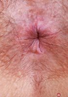 Violet Viper from ATK Natural & Hairy