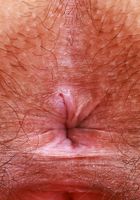 Violet Viper from ATK Natural & Hairy