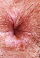 Violet Viper Sexy Ass Spreading, Violet Viper (vio031) ATK Natural & Hairy: Violet Viper (Violet Viper Sexy Ass Spreading)