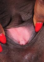 Ebony Leah spreads her legs, Leah (whi004) ATK Petites: Leah (Ebony Leah spreads her legs)