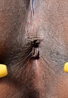 Yara Skye in black women, Yara Skye (yar002) ATK Exotics: Yara Skye (Yara Skye in black women)