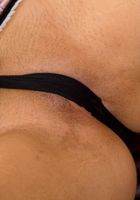 ATK Exotics: Jasmine (Jasmine in mediterranean)