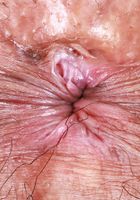 Zoey Jpeg Hairy Pussy Spread, Zoey Jpeg (zoe049) ATK Natural & Hairy: Zoey Jpeg (Zoey Jpeg Hairy Pussy Spread)