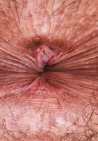 Zoey Jpeg from ATK Natural & Hairy
